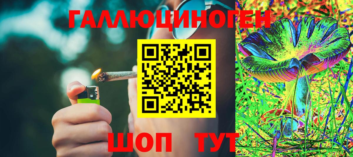 Псилоцибиновые грибы Psilocybine cubensis Куйбышев