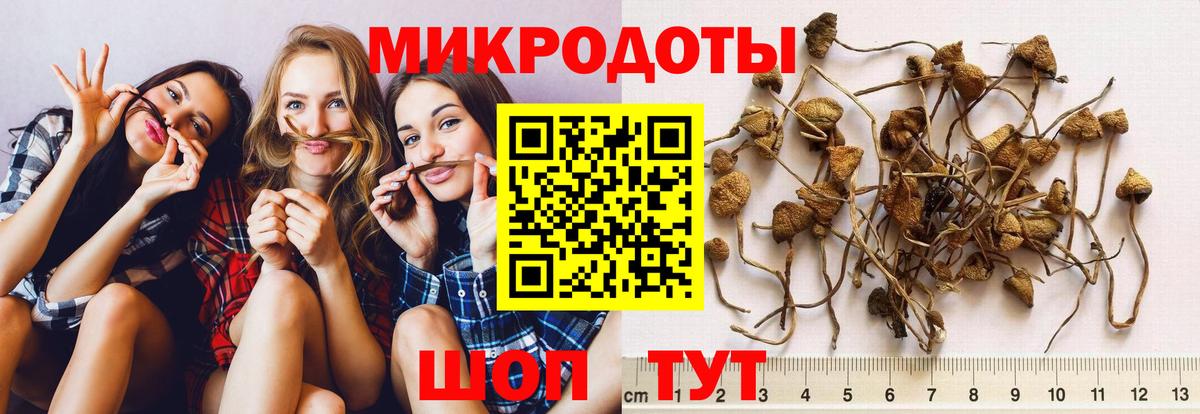 Галлюциногенные грибы мицелий  Вход с VPN  Куйбышев 